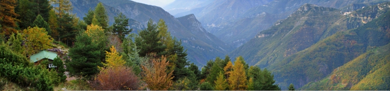 Art et Nature dans les Alpes du Sud